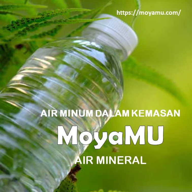 Apakah Air dalam Kemasan Botol Dapat Menurun Kualitasnya?